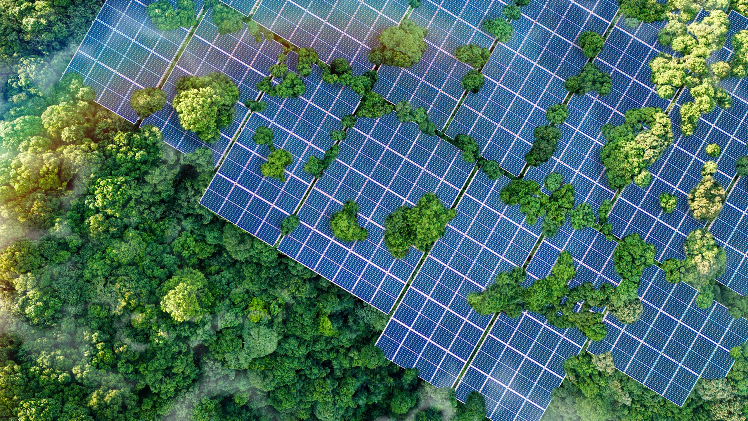 Sustainability and ESG